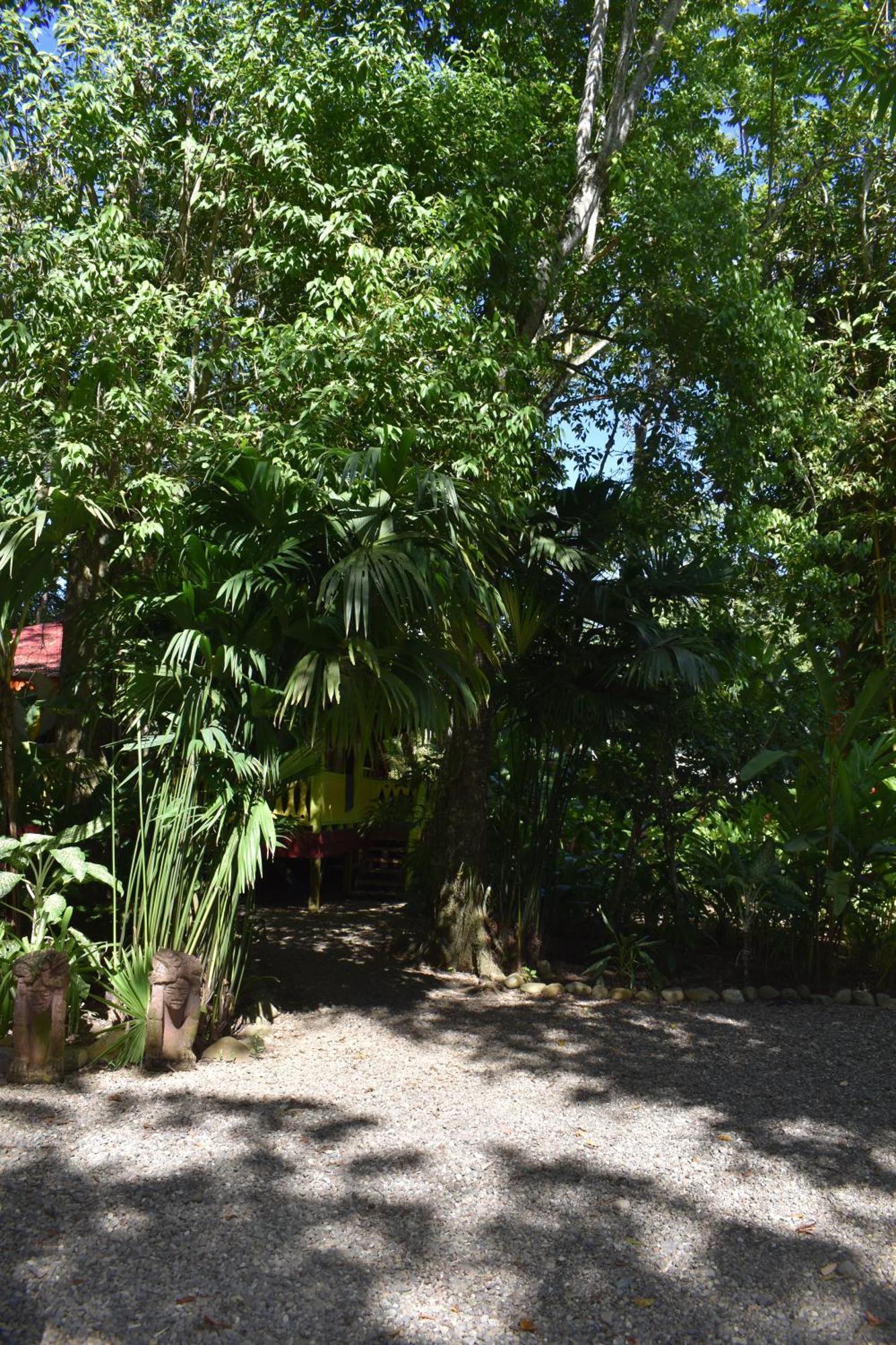 Villa El Jardin De Playa Negra Puerto Viejo de Talamanca Esterno foto