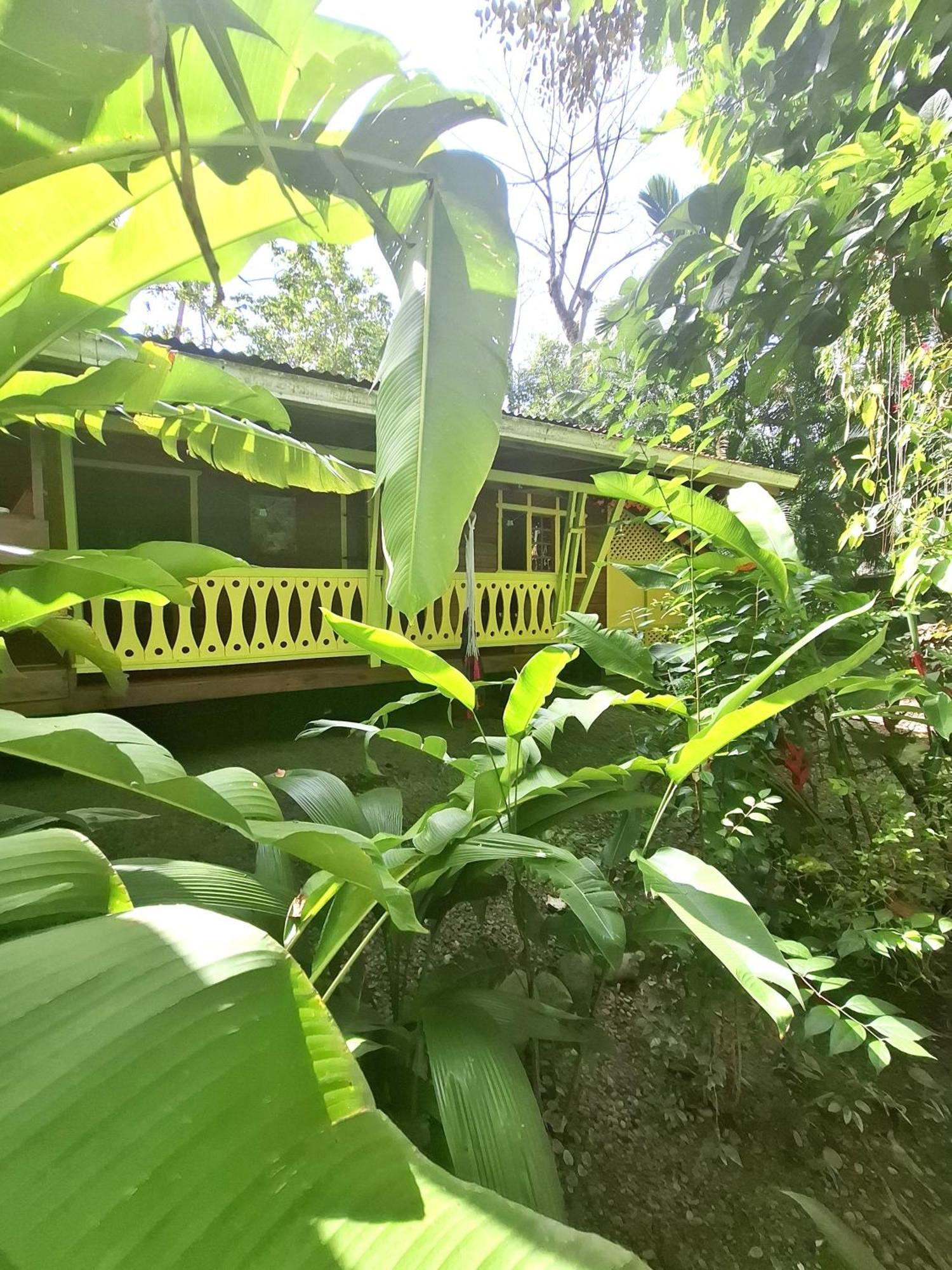 Villa El Jardin De Playa Negra Puerto Viejo de Talamanca Esterno foto