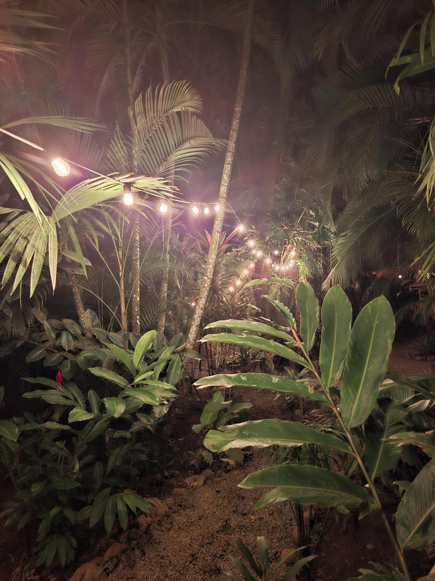 Villa El Jardin De Playa Negra Puerto Viejo de Talamanca Esterno foto