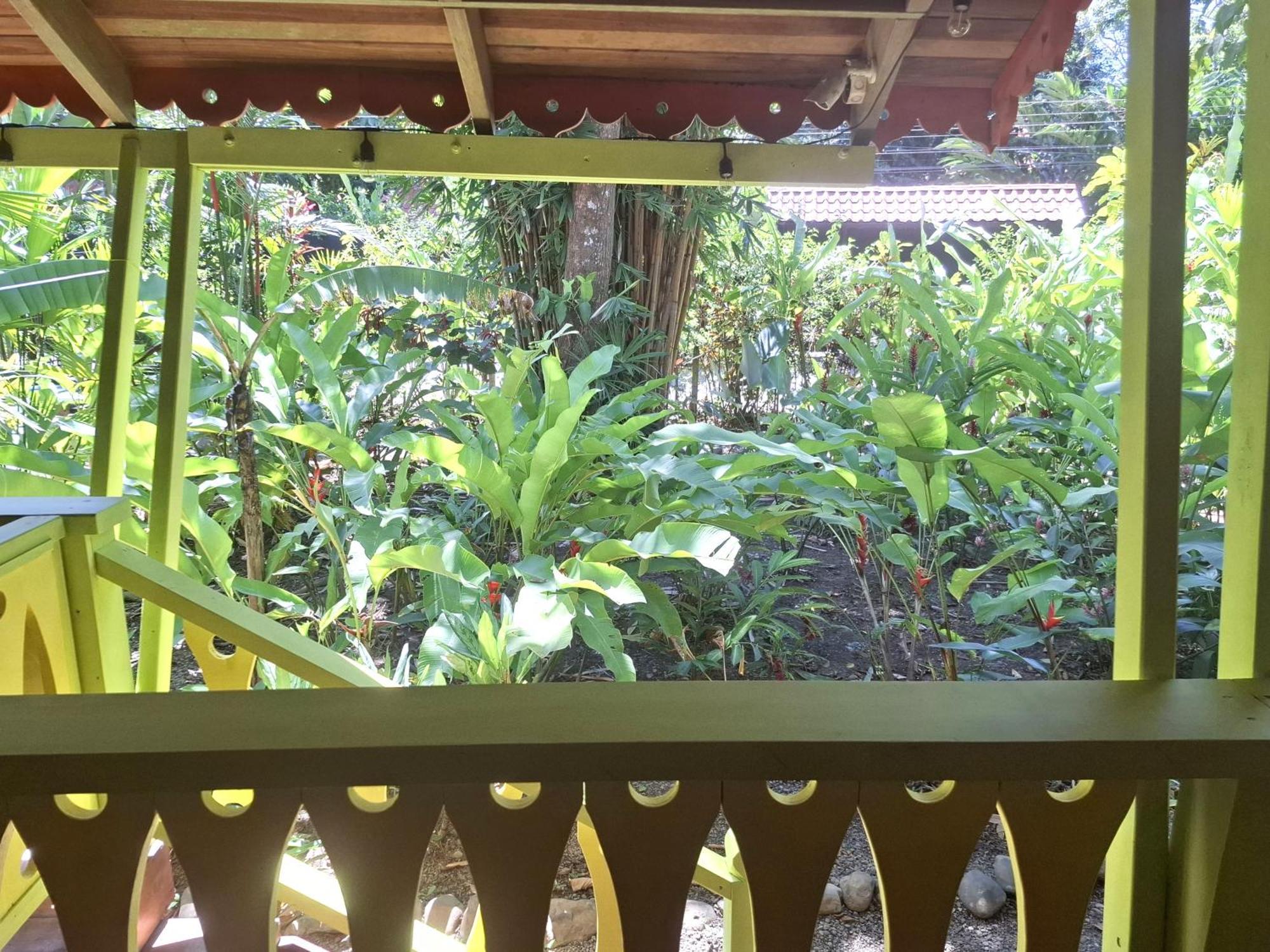 Villa El Jardin De Playa Negra Puerto Viejo de Talamanca Esterno foto
