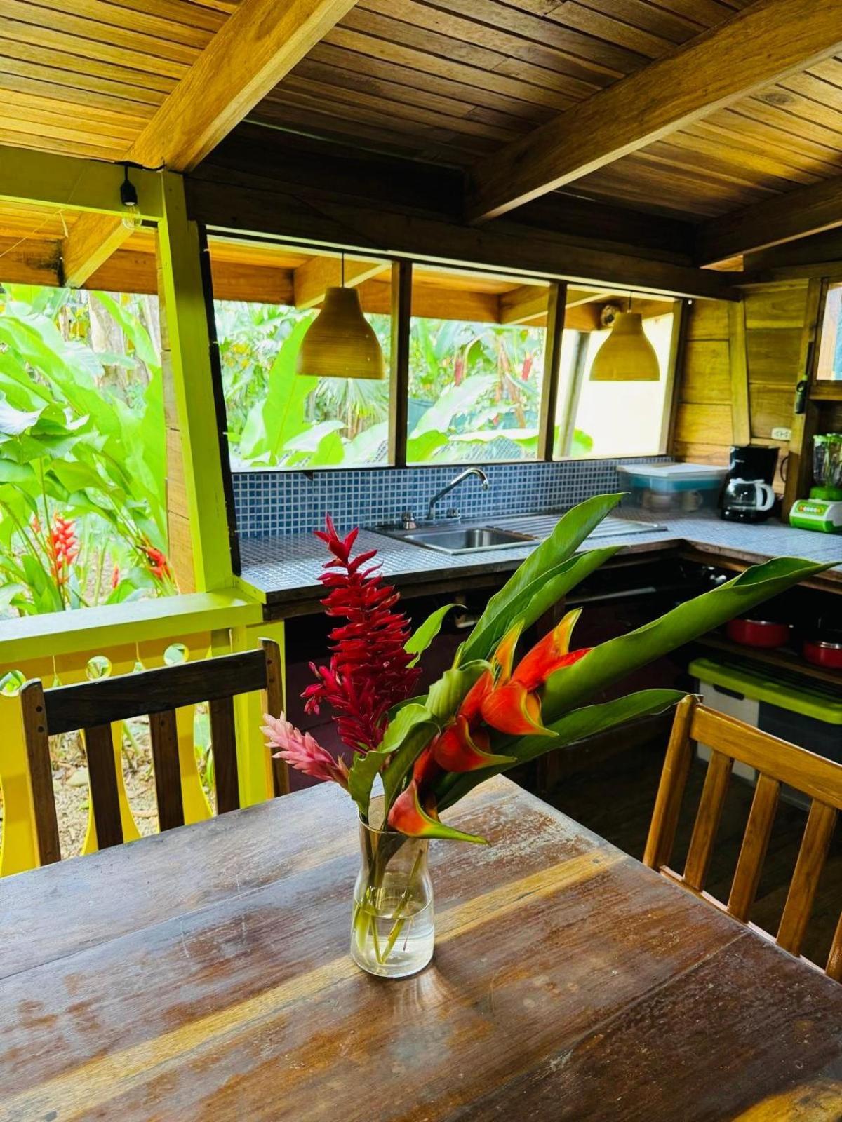 Villa El Jardin De Playa Negra Puerto Viejo de Talamanca Esterno foto