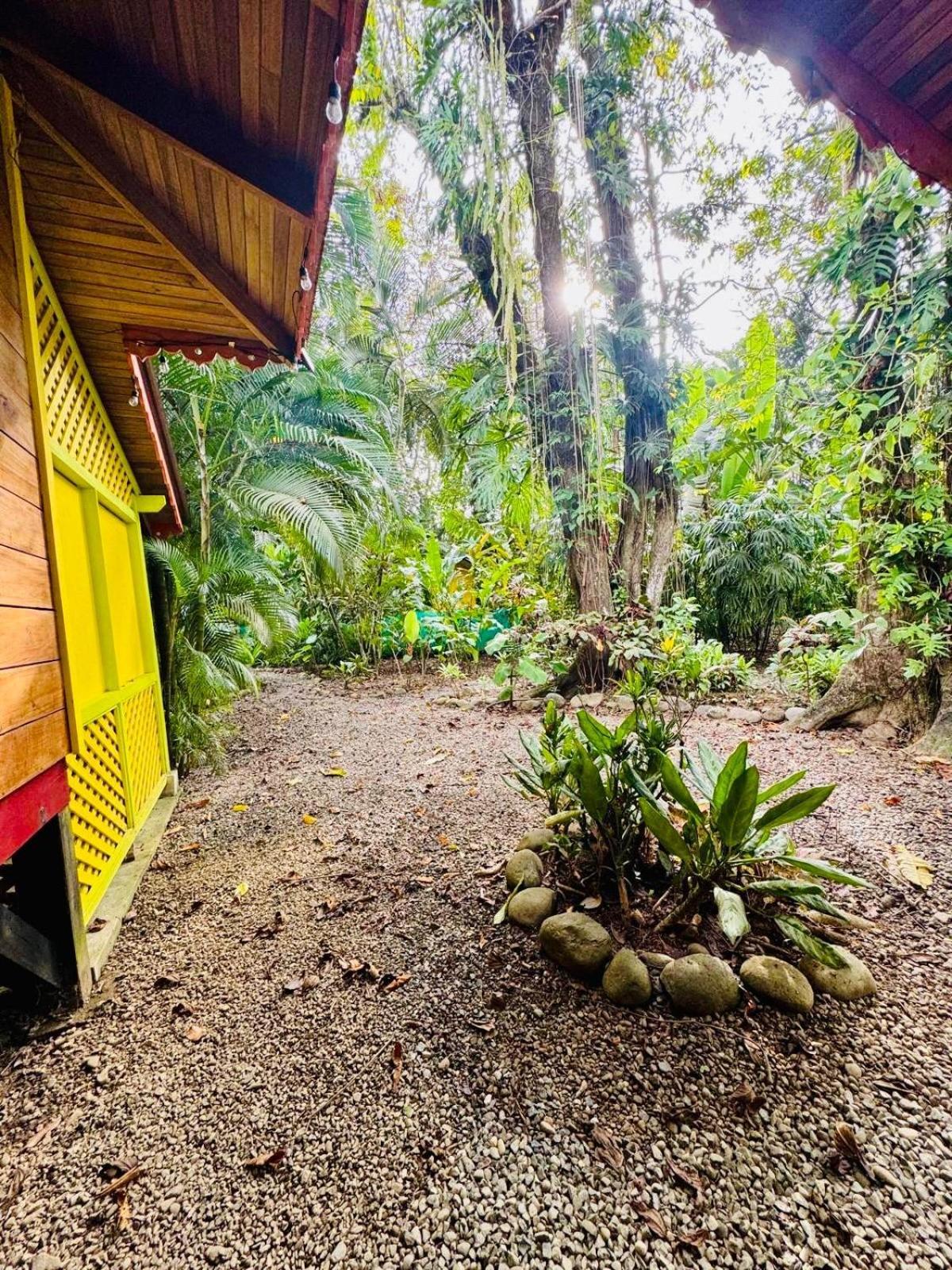 Villa El Jardin De Playa Negra Puerto Viejo de Talamanca Esterno foto