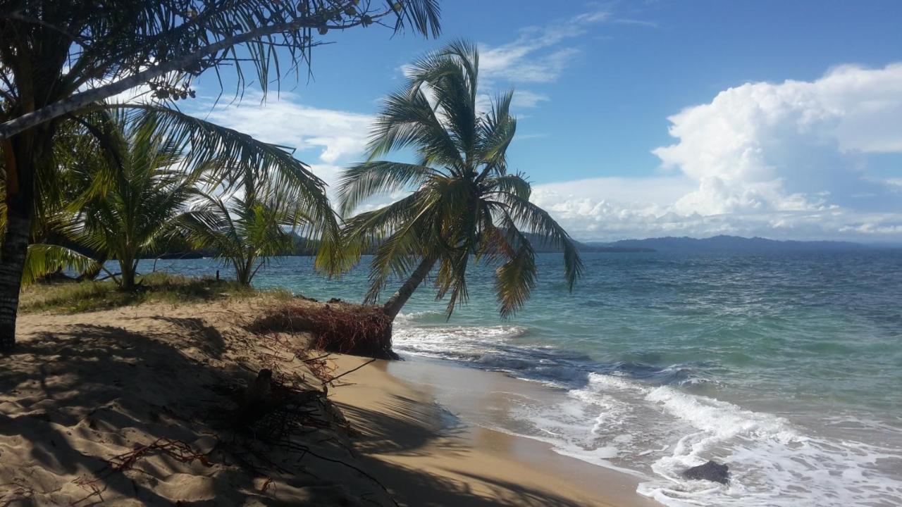 Villa El Jardin De Playa Negra Puerto Viejo de Talamanca Esterno foto
