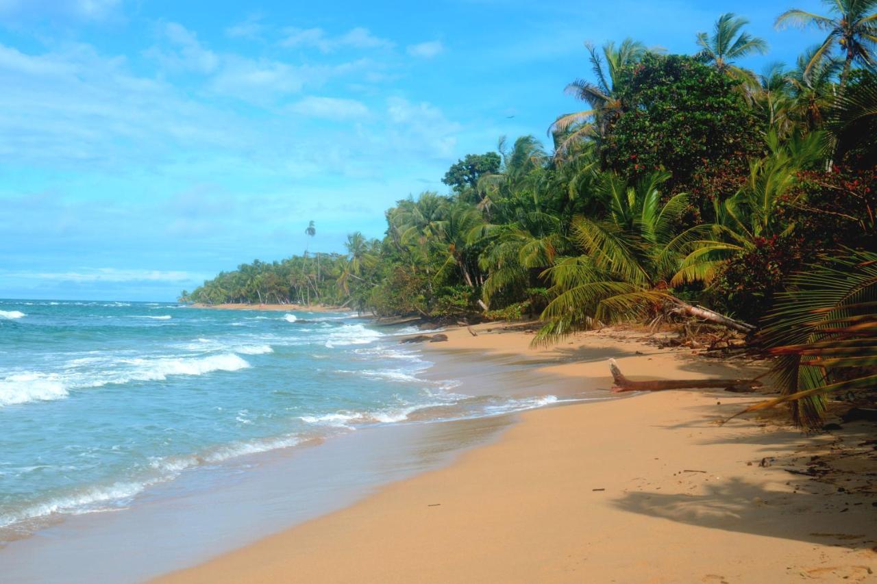 Villa El Jardin De Playa Negra Puerto Viejo de Talamanca Esterno foto